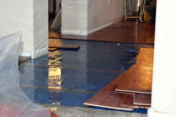 Professional Emergency Water Damage Restoration technician working in Lewisville, OH
